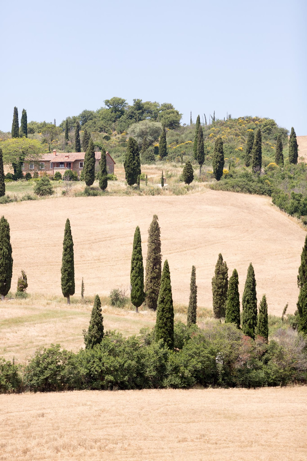 Matrimonio in Val D'Orcia